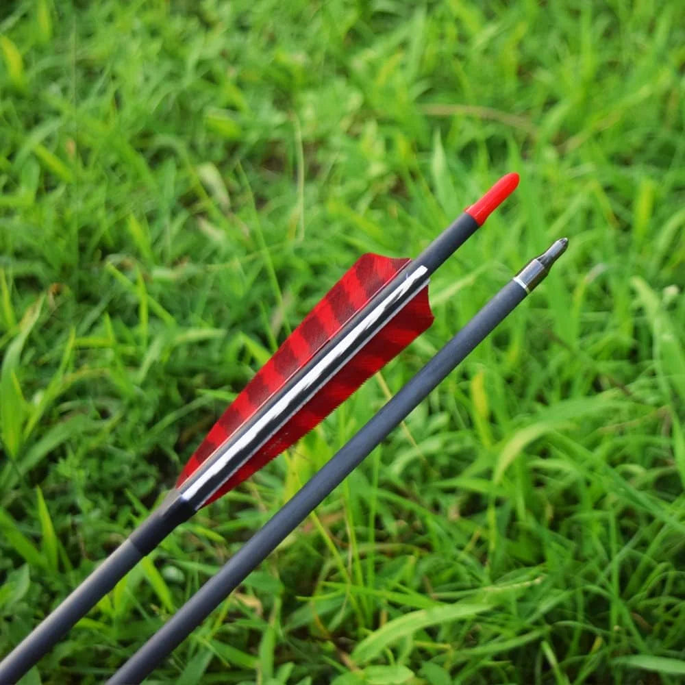 Carbon 600-700 Spine 30 Turkey Feather Fletched Arrows with Screw-In Points for Traditional, Recurve, and Compound Bows Hunting