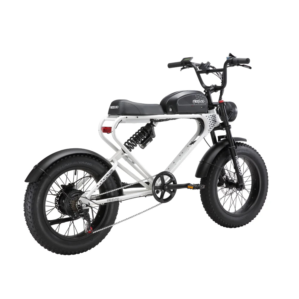 MEELOD DK300PLUS adult E-bike 1200W 48V 12.5Ah battery commute Electric Bike,20-inch Fat Tire E-Mountain bike