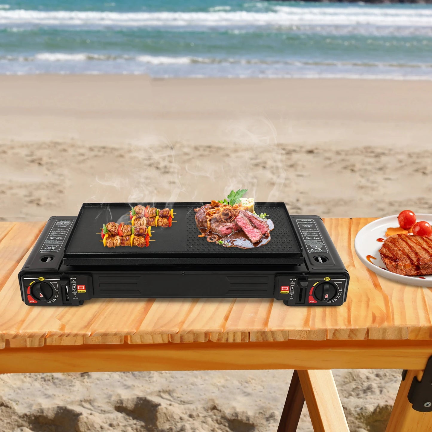 2500W Portable Camping Stove With 2 Burners Baking Tray Case